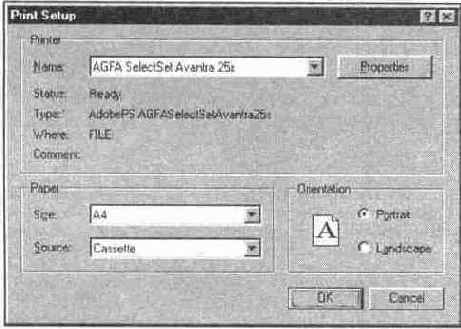 Диалоговое окно Print Setup